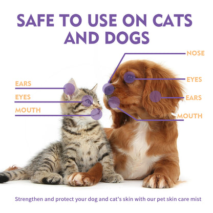 Yegbong Pet Skin Spray - Relieves Itching and Removes Mites from Dogs and Cats (Cleansing and Care Spray)